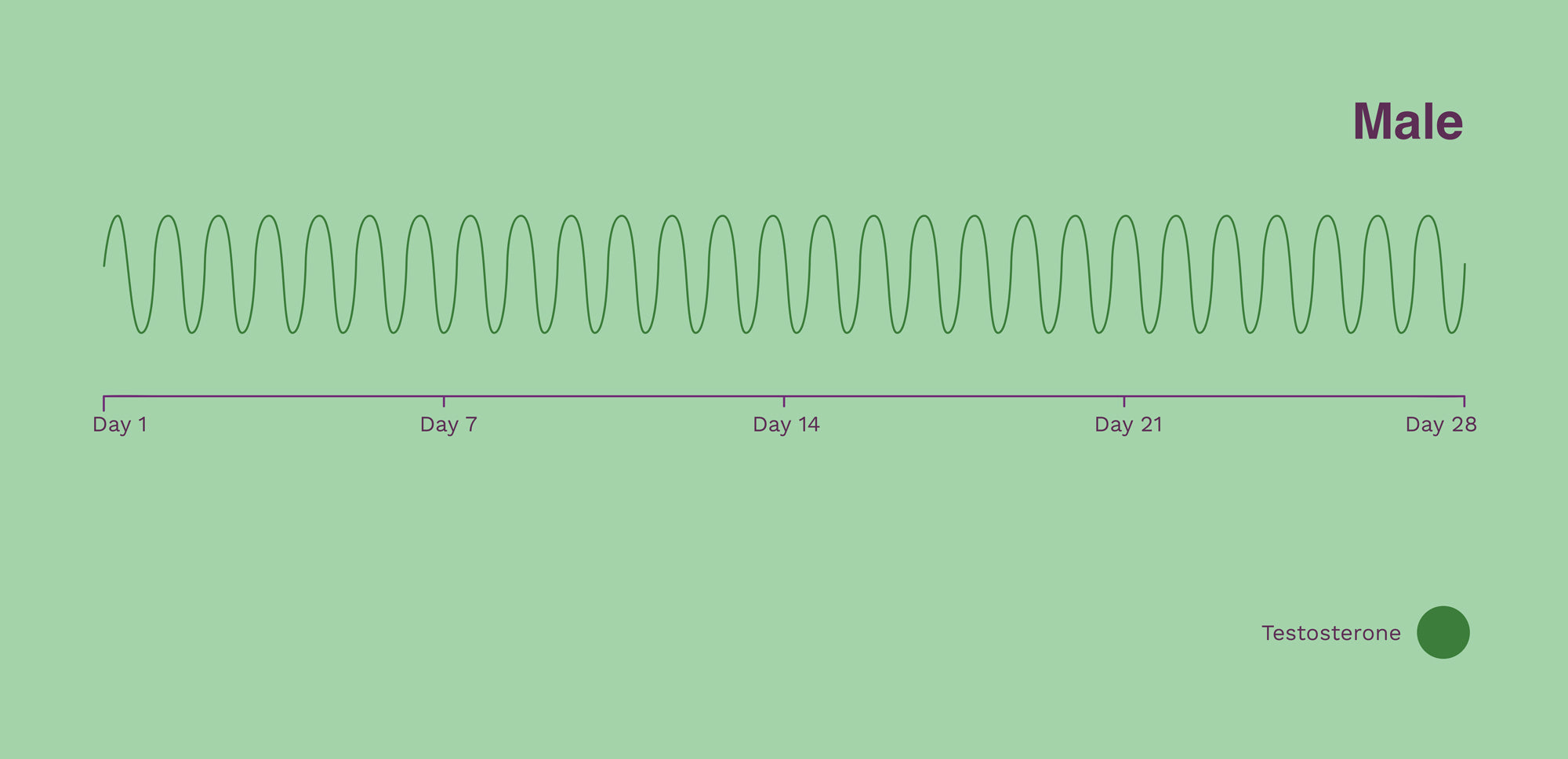 Seed-cycling-subscriptions-seed-cycling-supplement-PMS-supplement-coming-off-the-pill-Male-hormones-testosterone-graph